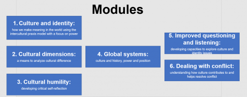 Global Leadership Modules